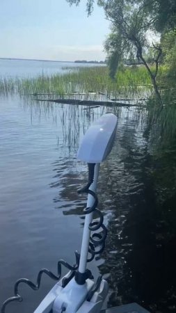 Авангард на воде