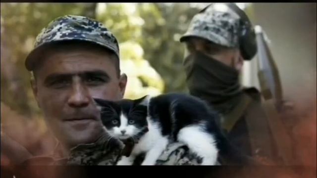 🔥Там умеют ценить любую жизнь