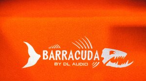 Распаковка усилителя Barracuda 4.85
