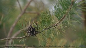 Что скрывают эти горы Смотри ДО КОНЦА! - Use It -- Baners -- Tanquillity and Trepidation