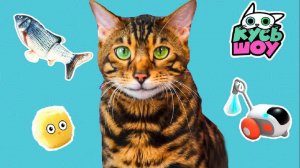Игровые приключения котиков — Кусь-шоу — Тестируем новые игрушки и игры
