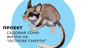 Садовая соня - жизнь на острове смерти
