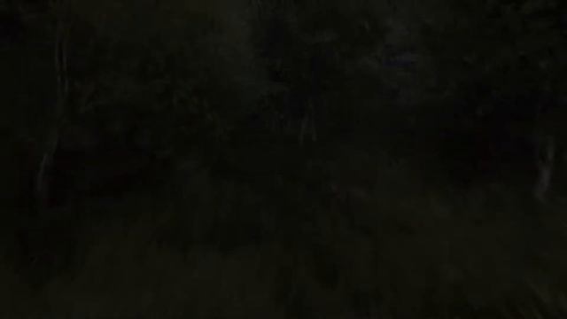 ПРОХОЖДЕНИЕ THE VANISHING OF ETHAN CARTER: В поисках Итана Картера. смотреть онлайн