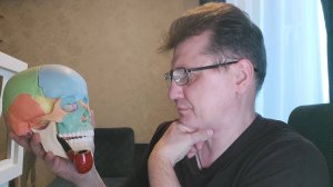 ЧТО Я ЛЕЧУ? Самые частые поводы обращений к остеопату.