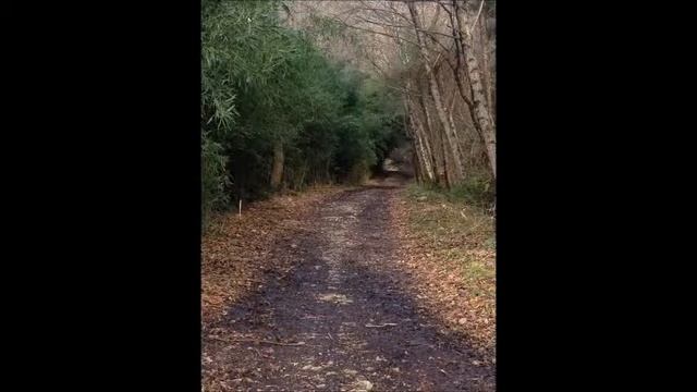 Презентация   Шебеко Вячеслав смотреть онлайн