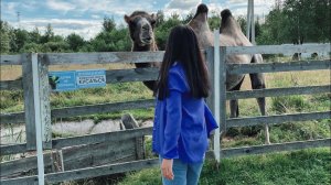 Я себя чувствую в Швейцарий | очень хороший день получилось | семейный влог