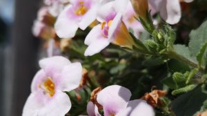 Влог 8-10.06.  Загадочное видео 😁