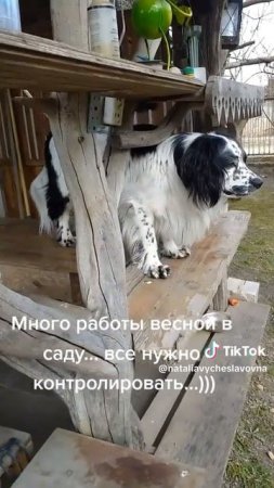 Все под контролем...)))