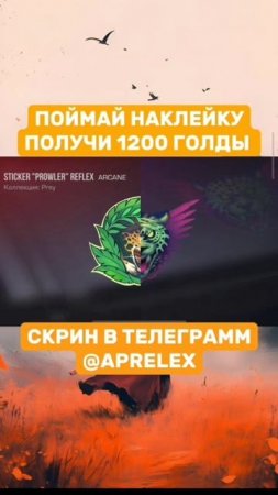 видео про стендофф2