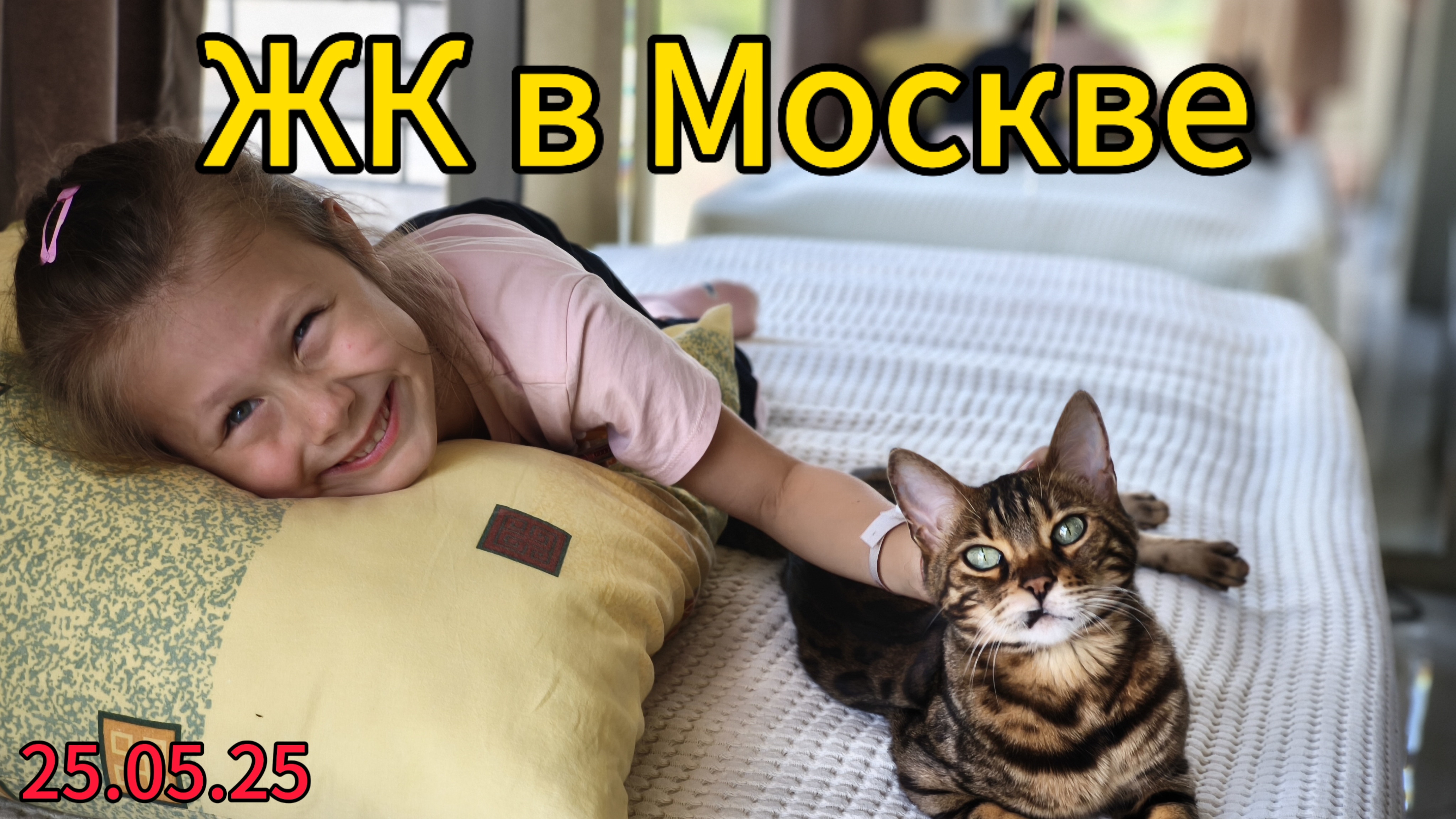 Красивые жилые комплексы Москвы. Кошка бабы и деды со сложной судьбой.