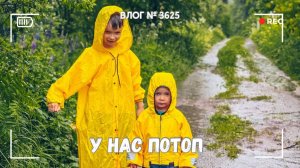 У нас потоп | Копаем канавы | Готовлю в походных условиях -  ВЛОГ №3625 - 09.06.25