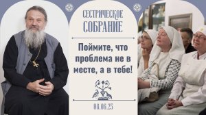 Будьте осторожны с этими «поводырями». Сестрическое собрание с о. Андреем Лемешонком 08.06.2025