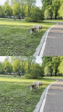 Дружба))