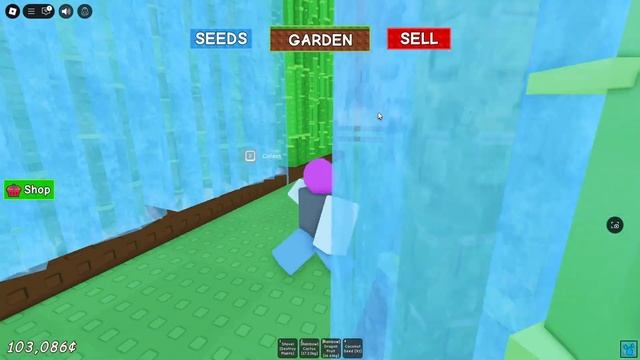 🔥КРАДУ Самый ДОРОГИЕ ФРУКТЫ в Grow a Garden | Roblox смотреть онлайн