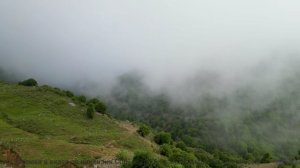 Пейзажи качают сердце как танец на ветру - The Middler -- Derek Clegg -- The Middler