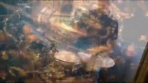 Гумилёв. Баллада. Пять коней