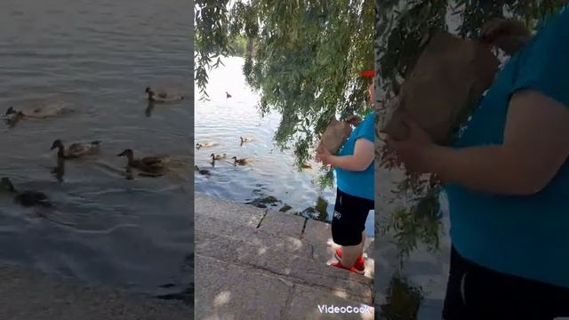 Царское село Екатерининский дворец город Пушкин смотреть онлайн