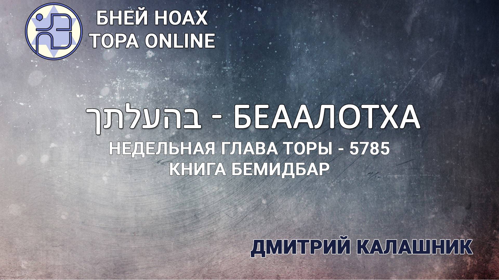 "Беаалотха" 5785/2025. Недельные главы Торы - Парашат а-шавуа | Дмитрий Калашник