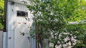 Дом утопающий в зелени