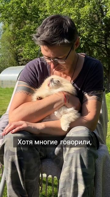 🐶 История Маськи: как спасали любимицу