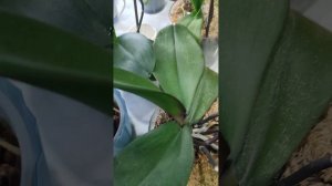 Почему я так люблю закрытую систему?