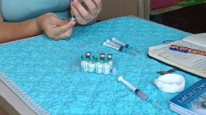 Вакцинация щенков. Скоро по домам!