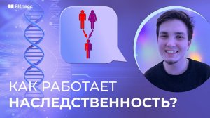 Как работает наследственность?