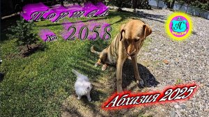 #Абхазия2025🌴 10 июня. Выпуск №2058🌡вчера +30°🌡ночью  +19°🐬море +22,5°❗