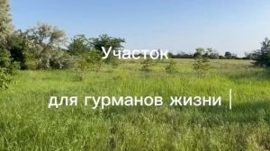 Продается земельный участок в центре поселка Кучугуры. Все есть: школа, садик, интернет.