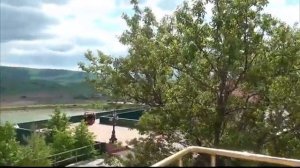 У Олега Зубкова надёжный тыл Магда хорошеет Парк львов Тайган #тайган