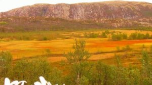 Заозерск,мой любимый город.!