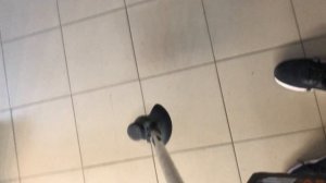 IMG_5964