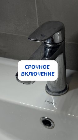 Найдено универсальное  средство WB #234577722 ☺️