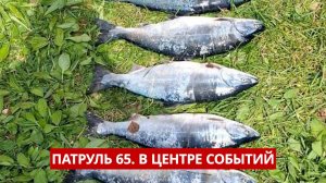 ПАТРУЛЬ 65. Браконьеры, гибель в ДТП, и вандалы в Корсакове. Происшествия на Сахалине 10.06.25