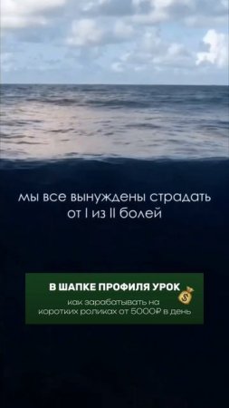 Боль дисциплины или боль сожаления - выбирай.