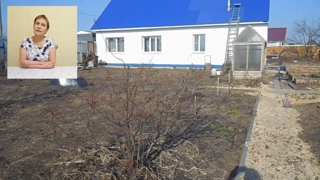 Делюсь опытом, как начать природное земледелие. Перестаньте перекапывать. Сделайте землю плодородной