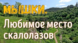 Мышки. Любимое место скалолазов