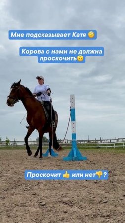Видео 3: Корова с нами не должна проскочить!