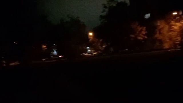 18 октября 2024. Посадили овёс для Снежана. смотреть онлайн