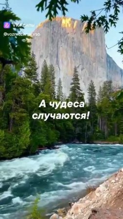 Чудеса случаются!