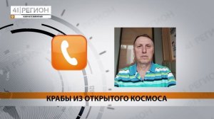 ФЕЙКИ О НАШЕСТВИИ КРАБОВ ПОЯВЛЯЮТСЯ В СОЦСЕТЯХ КАМЧАТКИ• НОВОСТИ КАМЧАТКИ