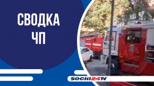 Иномарка сбила женщину на пешеходном переходе