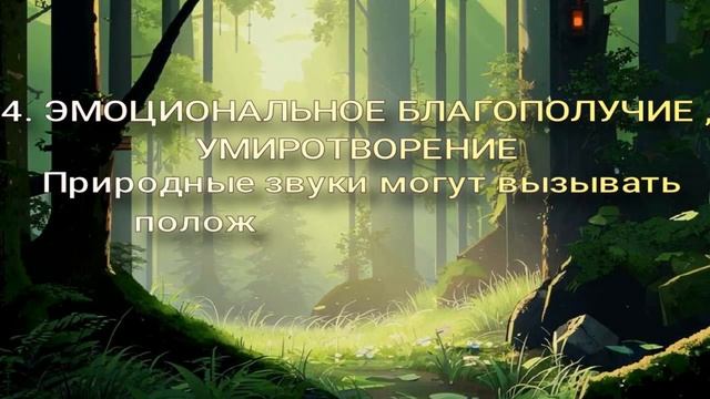 5 ПРИЧИН ,ПОЧЕМУ ПОЛЕЗНО СЛУШАТЬ ЗВУКИ ПРИРОДЫ