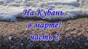 На Кубань в марте! часть 2  Приморско-Ахтарск Краснодарский край станица на Кубане