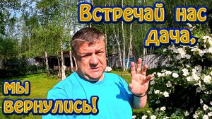 Возвращение на дачу: капельный полив, спасение клубники и кроличьи страсти!
