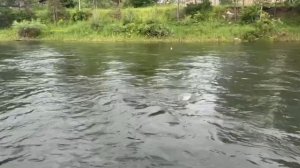 Ловим Хариуса