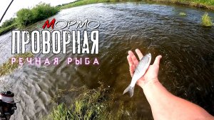 Отличный клёв ельца, окуня и плотвы на ультралайт. Мормышинг Наноджиг