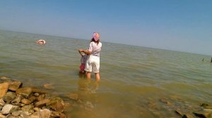 Пляж Виста! Экскурсии по Краснодарскому краю.