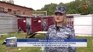 В Коломне работает племенной питомник служебного собаководства
Подготовлено АО "Коломенское ТВ"