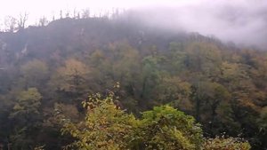 15.11.2020 Кепша